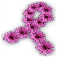  Encerramento Outubro Rosa